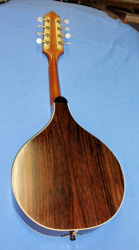 mandolin